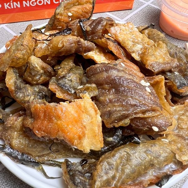 Snack Da Cá Hồi – DAOHAISAN