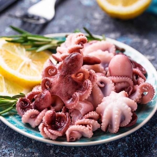Các món ăn từ bạch tuộc thơm ngon, bổ dưỡng là món khoái khẩu của nhiều người