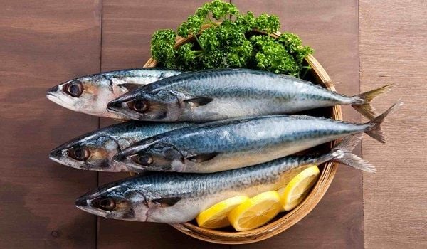 Trong cá thu giàu Omega-3, Selen, Vitamin, Protein,...