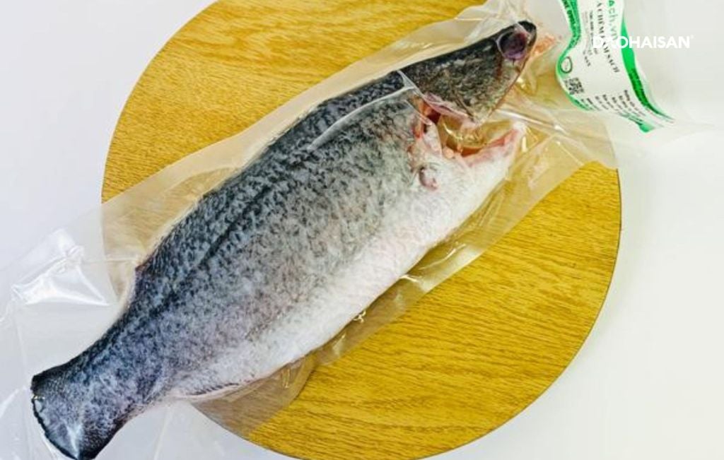Cá Chẽm Đảo Hải Sản