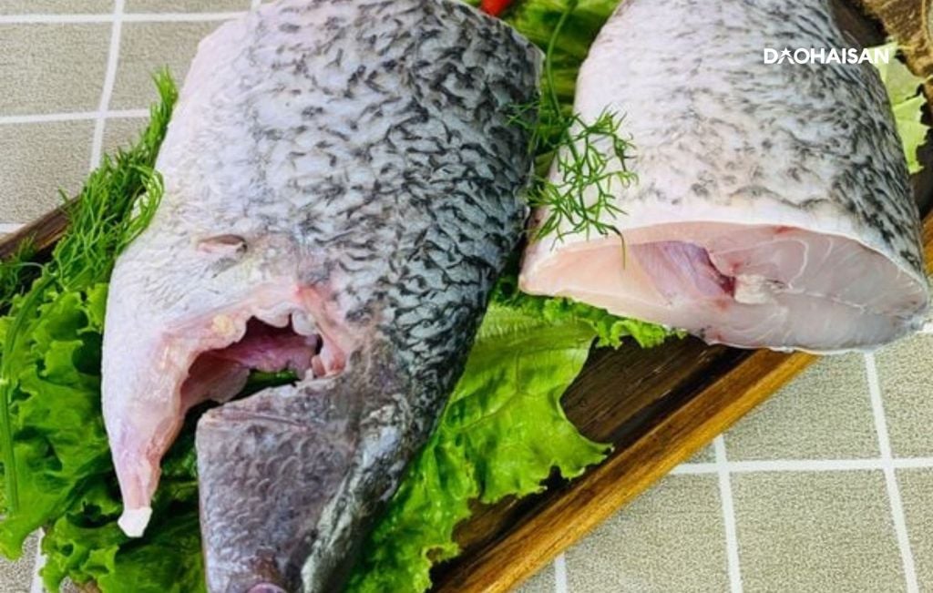 Cá Chẽm Đảo Hải Sản