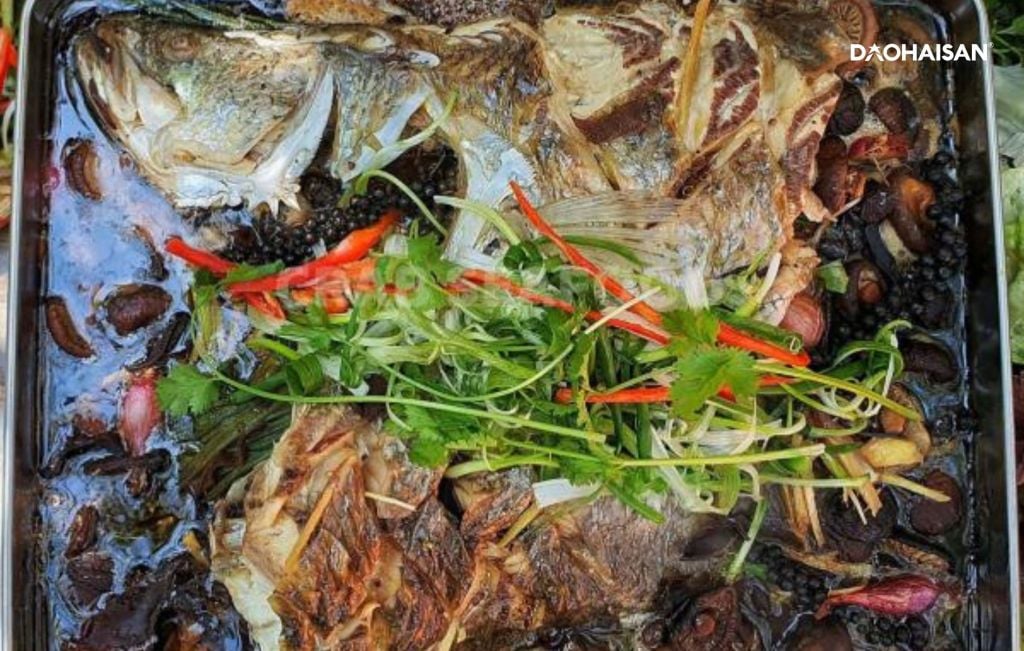 Cá Chẽm Đảo Hải Sản