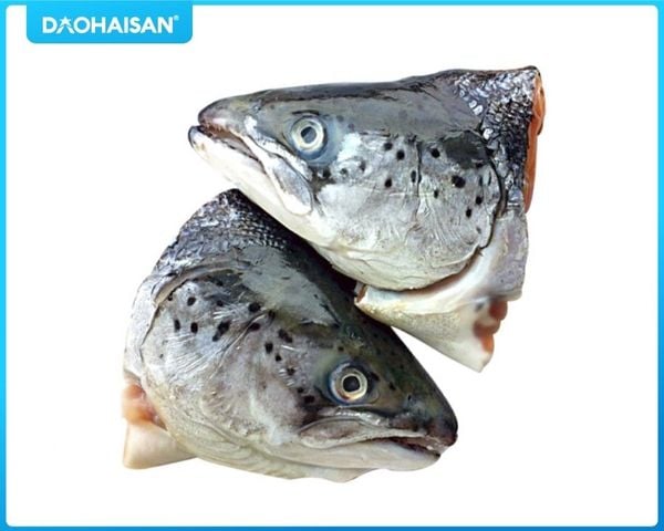 Đầu cá hồi tươi có giá trị dinh dưỡng cao và dùng để nấu lẩu sẽ rất ngọt nước.
