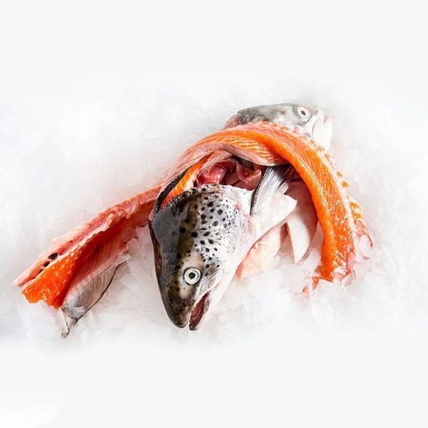 Bạn có thể chế biến được rất nhiều các món ngon từ đầu cá hồi cực kỳ bổ dưỡng