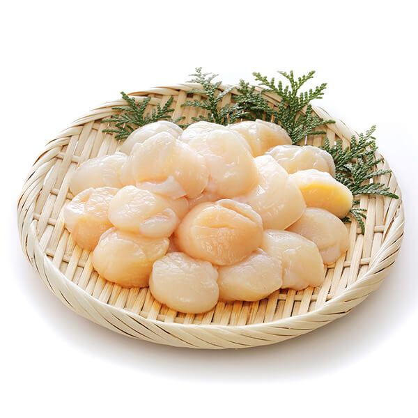 Thịt sò điệp trắng, tươi ngon