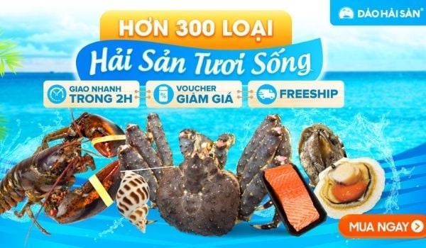 Đảo Hải Sản - Thiên đường Hải sản tươi sống với 300 loại khác nhau