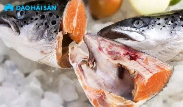 Đầu cá hồi chứa nhiều protein, omega-3, vitamin D, vitamin B12,...