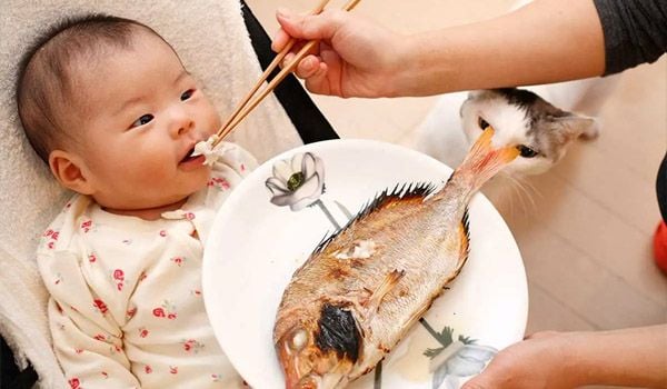 Cho trẻ nhỏ làm quen dần với việc ăn hải sản