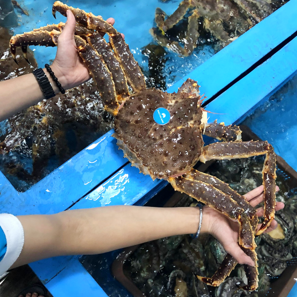king-crab-alaska