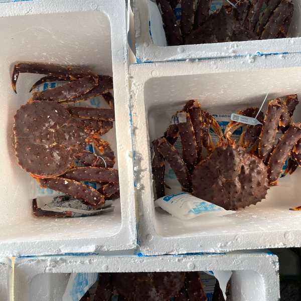 king-crab-alaska