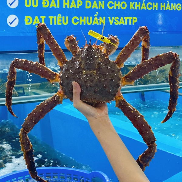 king-crab-alaska
