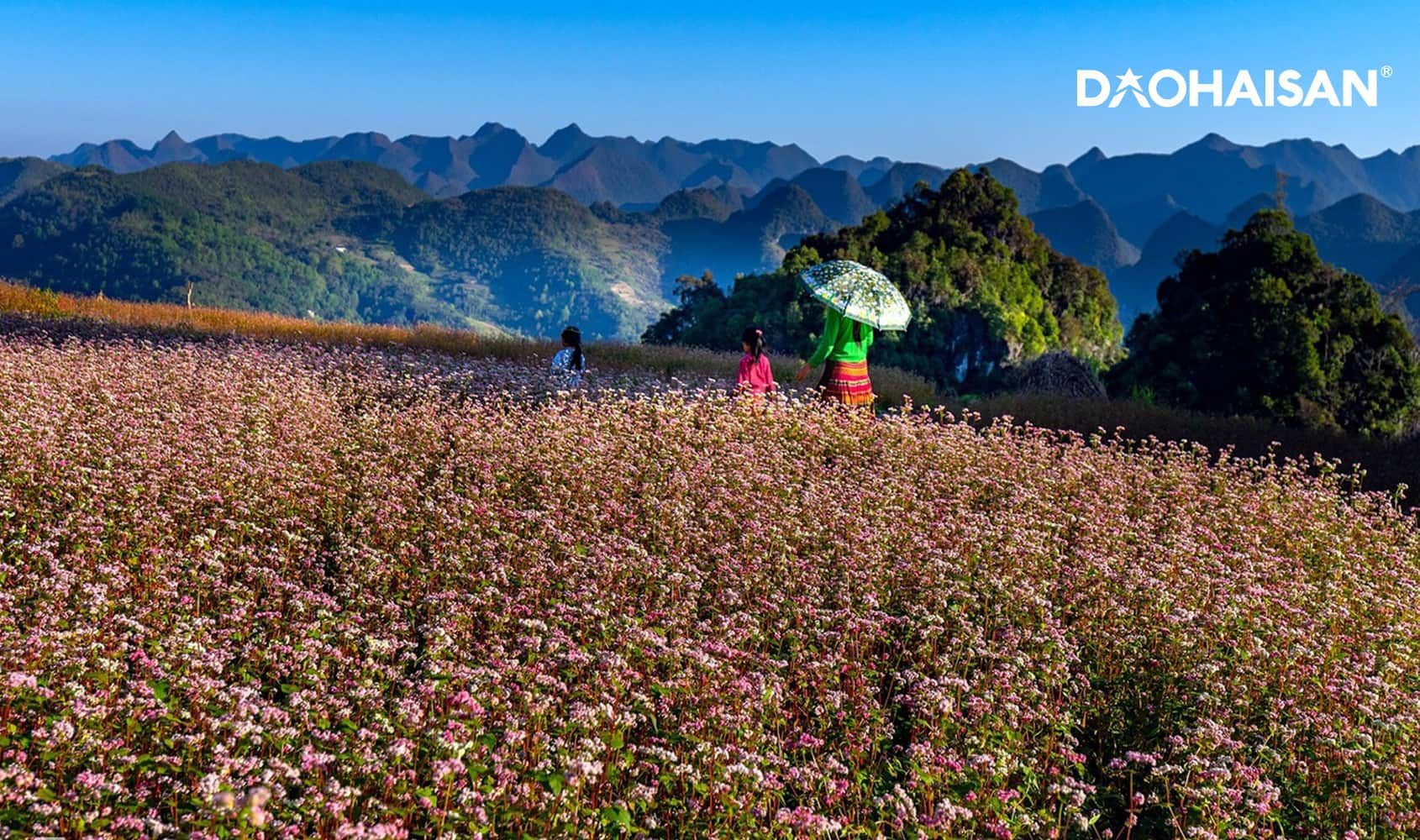 Cảnh sắc mùa xuân đẹp như tranh tại Hà Giang