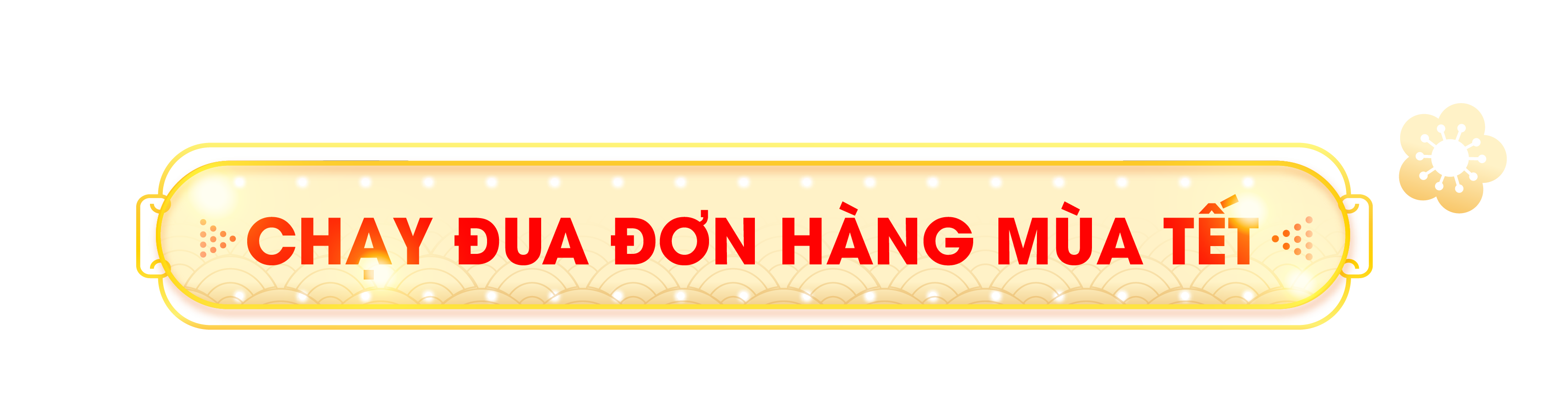 CHẠY ĐUA ĐƠN HÀNG MÙA TẾT