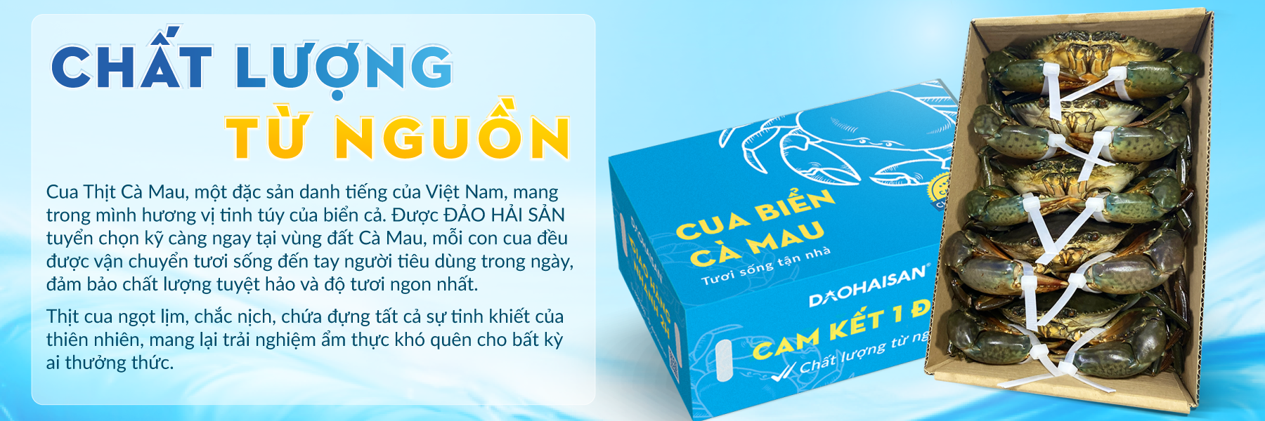cua-cà-mau