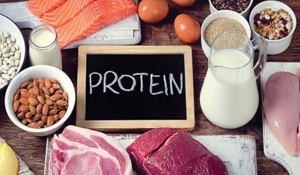 Protein là dinh dưỡng chính trong khẩu phần ăn hàng ngày