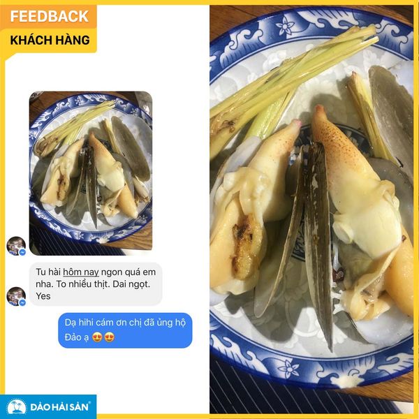 tu hài hấp xả