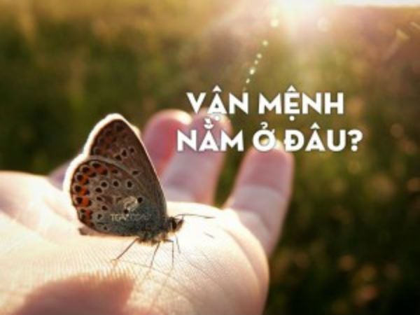 Ai có thể thay đổi được số mệnh ?