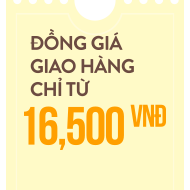 Từ các nhà vận chuyển uy tín 