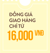 Từ các nhà vận chuyển uy tín