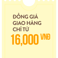 Từ các nhà vận chuyển uy tín