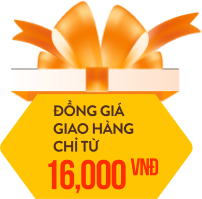 Từ các nhà vận chuyển uy tín