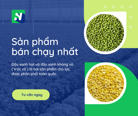 Đậu xanh không vỏ NOSAGO - Giá sỉ cho các cửa hàng bán sỉ và nhà sản xuất bánh