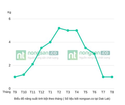 Nên mua nghệ tươi làm tinh bột vào tháng mấy ?