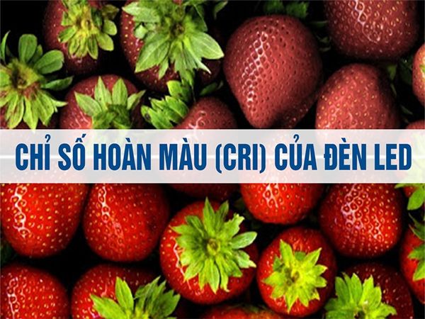 chi-so-hoan-mau-cri-dienphuonganh