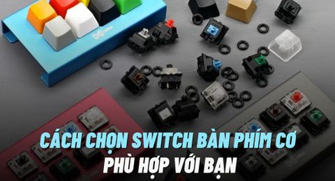 Cách chọn Switch 