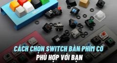 Cách chọn Switch 