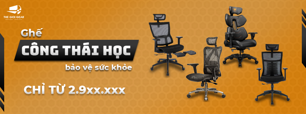 Ghế Công Thái Học