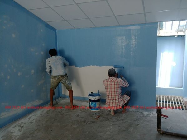 sơn tường văn phòng