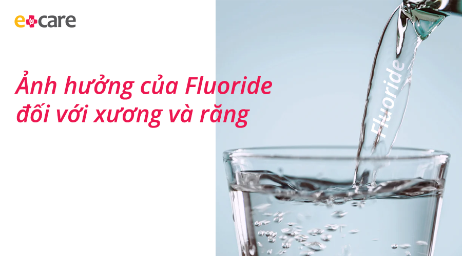 Ảnh hưởng của Fluoride đối với xương và răng