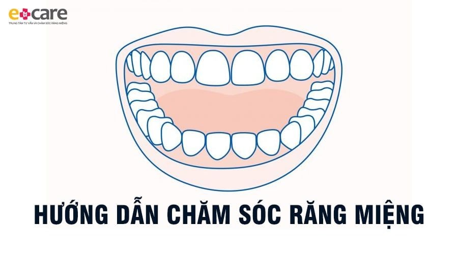 Hướng dẫn chăm sóc răng miệng với hình ảnh minh họa