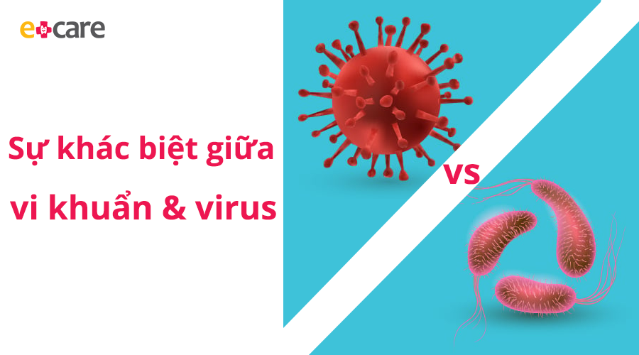 Sự khác biệt giữa viêm nhiễm do vi khuẩn và virus