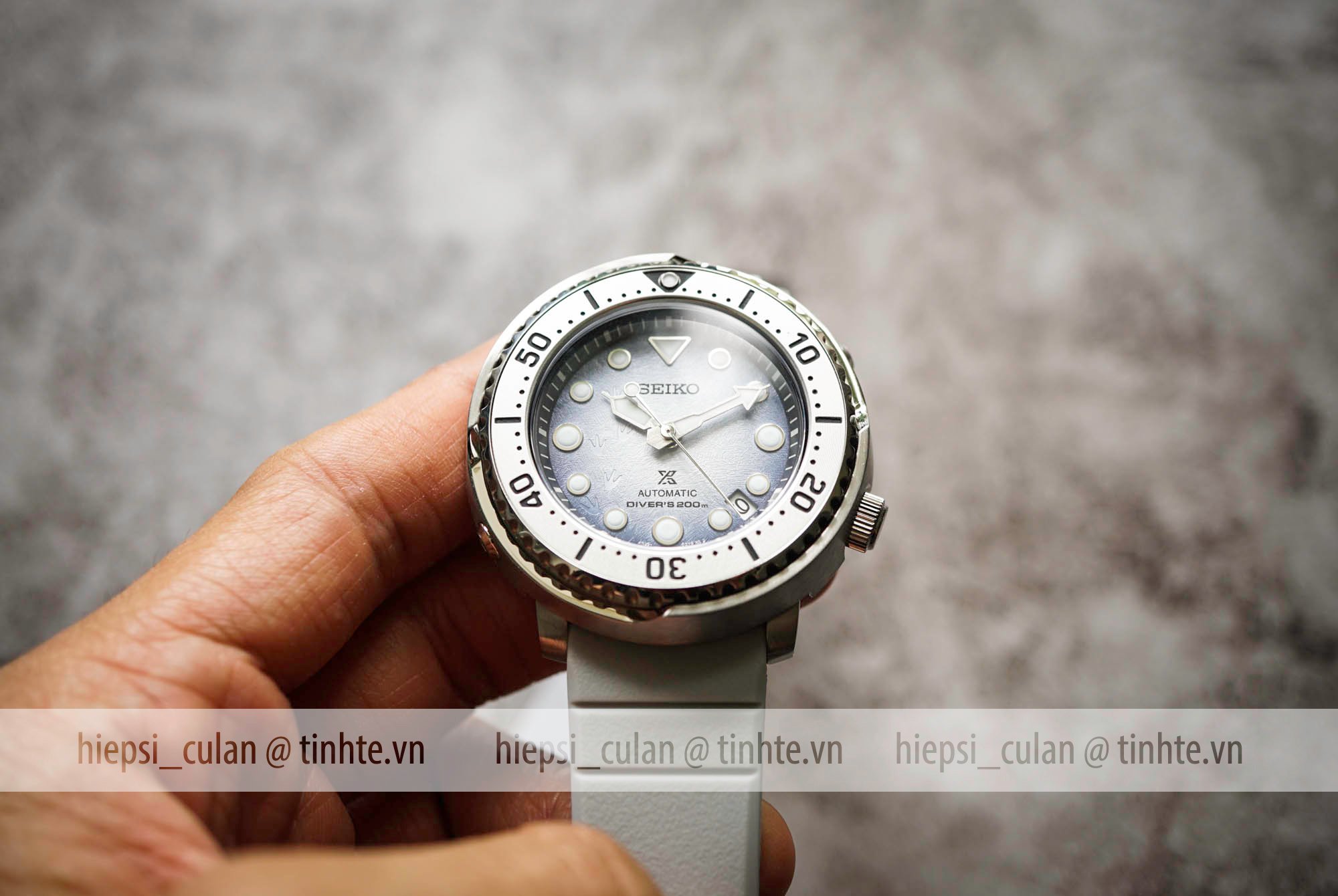 review bộ sưu tập đồng hồ Seiko Prospex “Save The Ocean Antarctica” -  Tiktakus