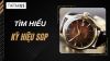 SGP trên đồng hồ Seiko là gì? Giải mã từ A-Z (63 ký tự)