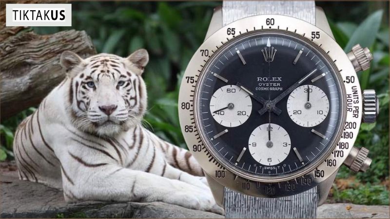 Rolex Daytona The Unicorn Ref. 6265