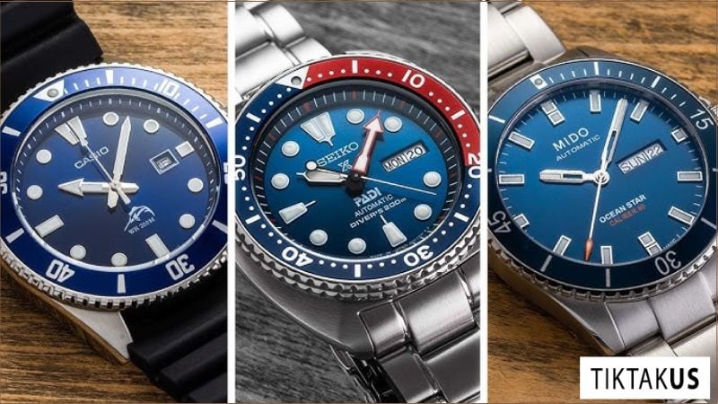 Thị trường hiện nay cung cấp rất nhiều loại đồng hồ lặn, đa dạng về chức năng, thương hiệu và phân khúc giá.