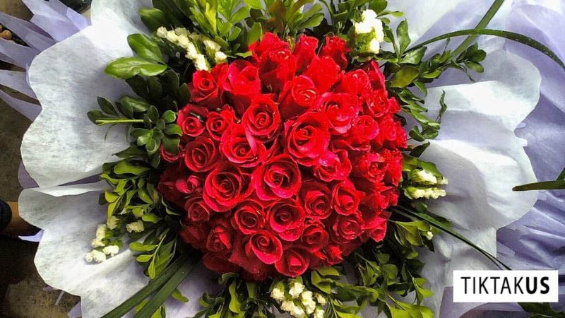 Hoa hồng là biểu tượng của tình yêu lãng mạn và say đắm