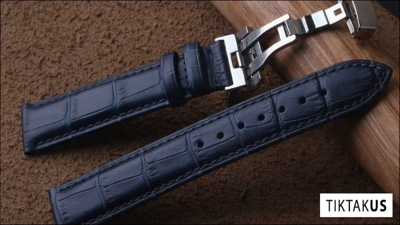 Khóa bướm là một loại khóa có cơ chế gập hai cánh kim loại vào trong