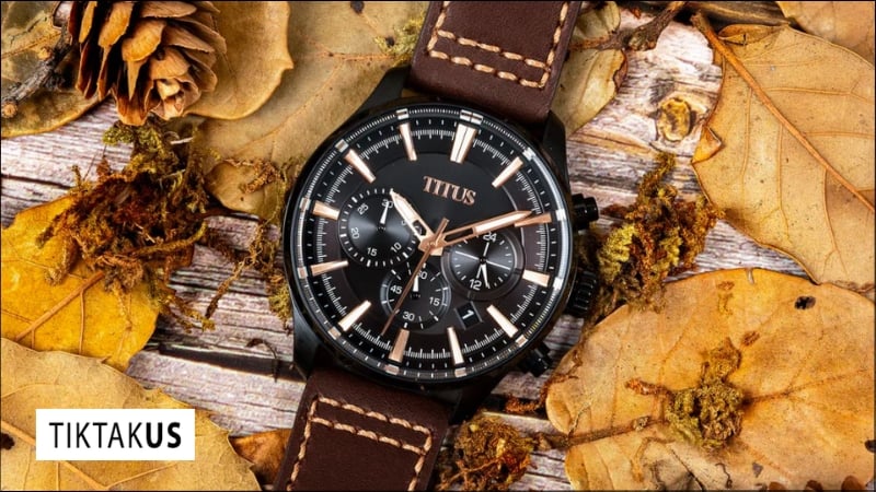 Solvil et Titus được khai sinh vào năm 1887 bởi Paul Ditisheim