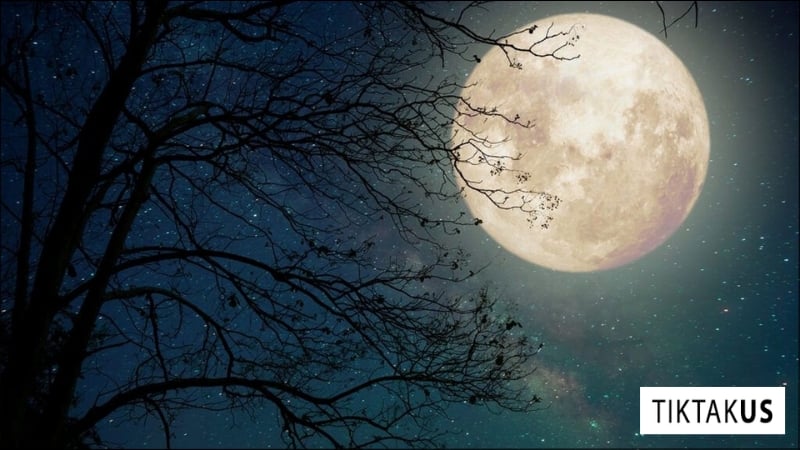12AM là 12 giờ đêm