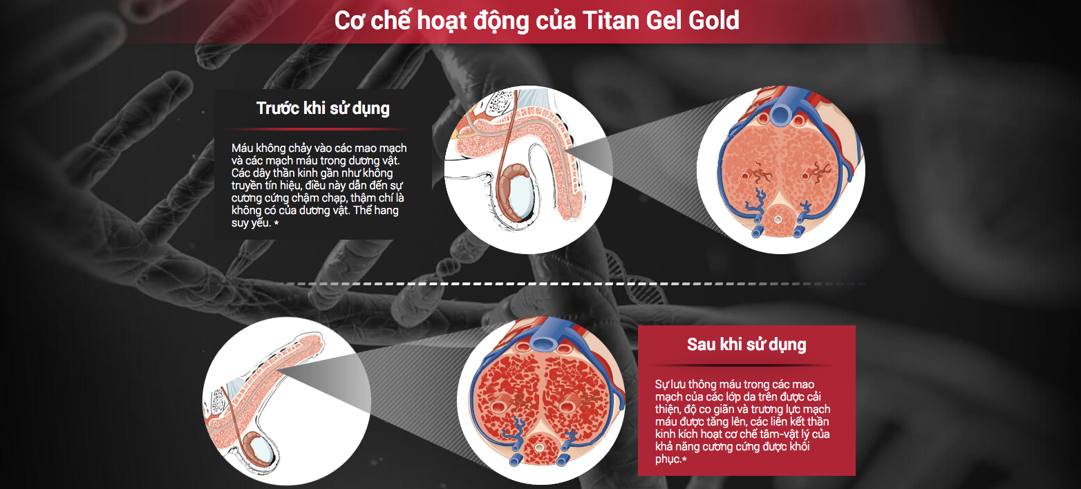 Cách hoạt động của titan gel gold