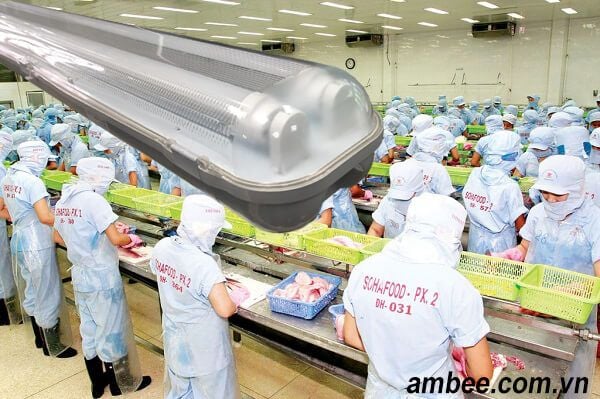 đèn led chống thấm