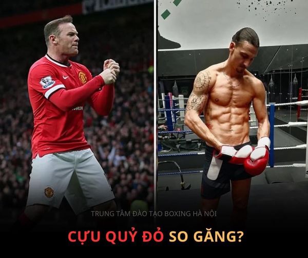 ZLATAN IBRAHIMOVIC SO GĂNG WAYNE ROONEY?