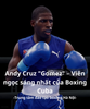 Andy Cruz 