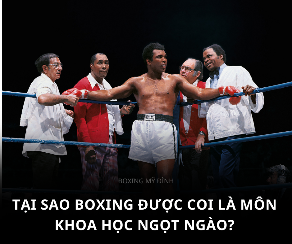 Tại sao boxing được coi là môn 