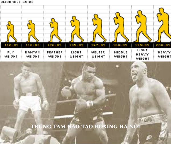 Cập nhật các hạng cân trong boxing chuyên nghiệp 2024