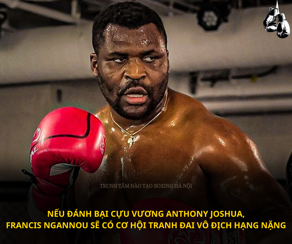 Francis Ngannou sẽ có cơ hội tranh đai vô địch hạng nặng nếu như đánh bại cựu vương Anthony Joshua